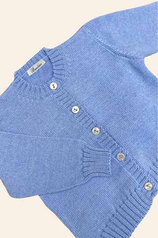 Merinos Wool Cardigan in Benjamin