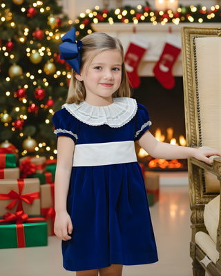 Navy Velvet Dress